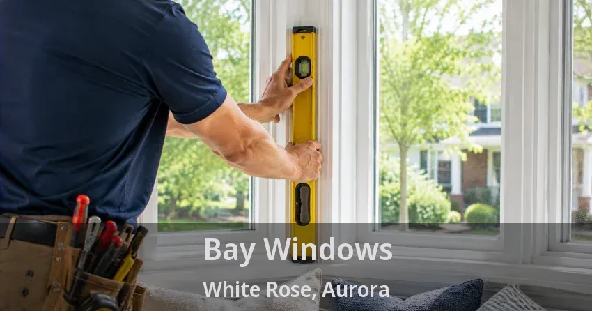 Bay Windows White Rose, Aurora - ON