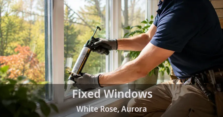 Fixed Windows White Rose, Aurora - ON